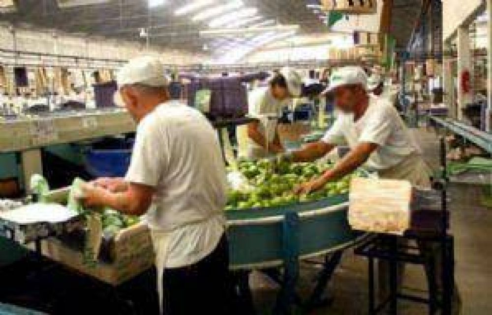 Cerr� Salentein Fruit y 150 ex empleados piden continuidad