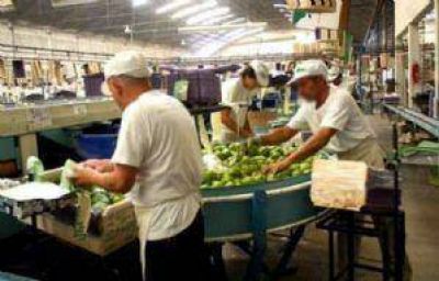 Cerr� Salentein Fruit y 150 ex empleados piden continuidad