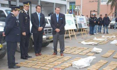 Destruyen 1,5 toneladas de marihuana.