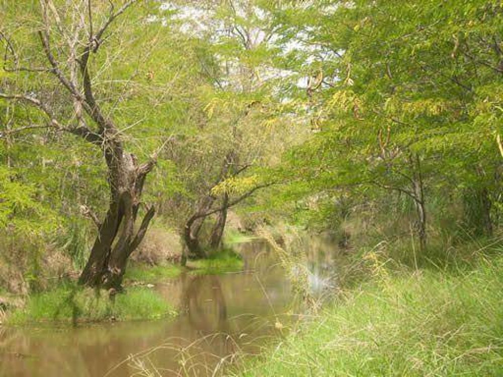 La canalizaci�n en el arroyo Balta se ver�a impedida por la Ley Nacional 25.743