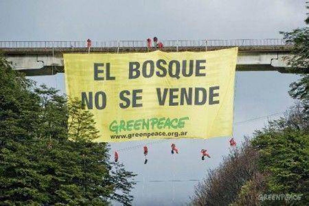 Eidico intim� a Greenpeace por denuncia sobre violaci�n de la Ley de Bosques