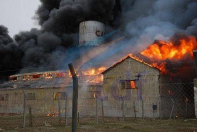 Otro incendio arras� una de las naves del hist�rico frigor�fico CAP