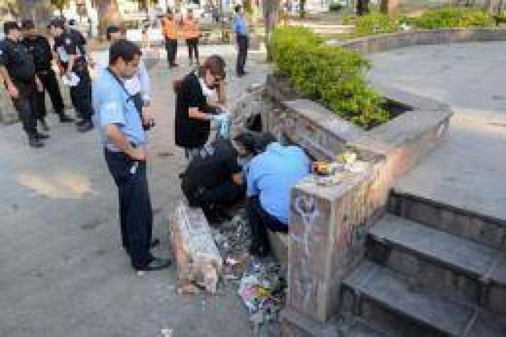 Filmaron a una mujer que dej� algo en los bancos de la Plaza