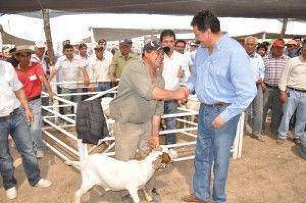 Exitosa Expo de Ganado Menor se realiz� en Ibarreta