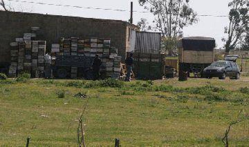 Tres allanamientos por robo de agroqu�micos