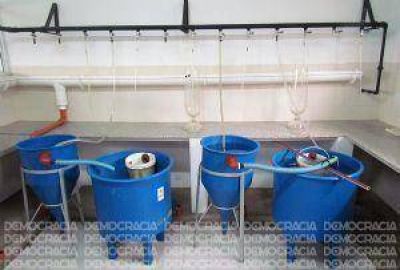 Comenz� la entrega de ovas para las lagunas del Partido de Jun�n