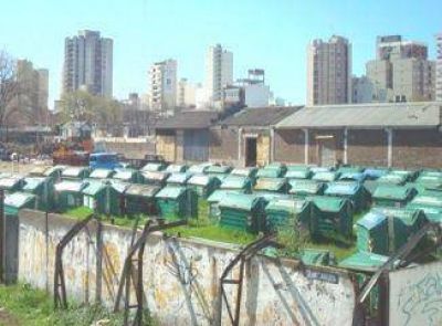 Colapso: La manipulaci�n de basura genera malos olores en pleno centro