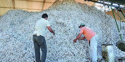  Destacan asistencia del gobierno para el agro