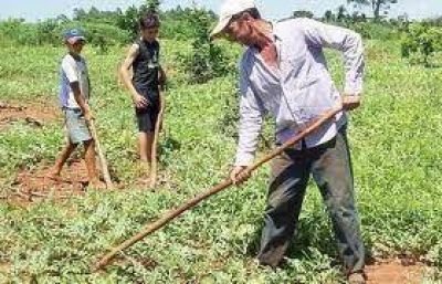 A trav�s del asociativismo, peque�os productores diversifican su producci�n