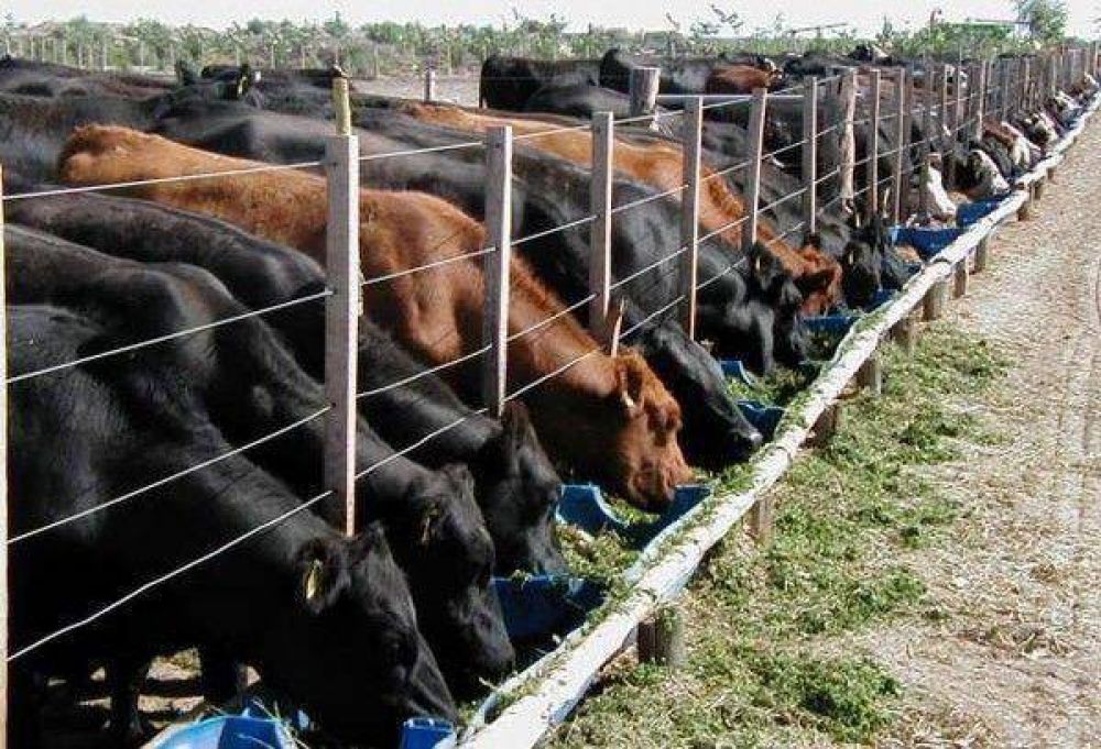  Ranking de competitividad nacional: La Pampa ocupa el tercer puesto