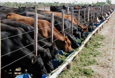  Ranking de competitividad nacional: La Pampa ocupa el tercer puesto