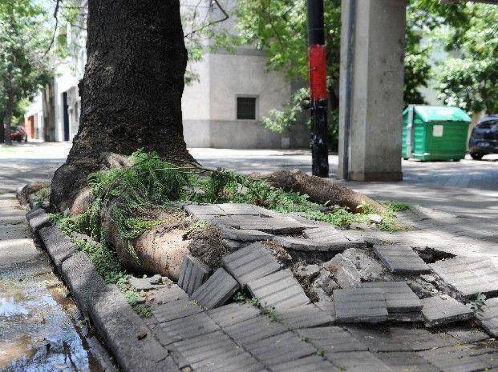 Otra condena a la Municipalidad de Rosario por lesiones a causa de veredas rotas