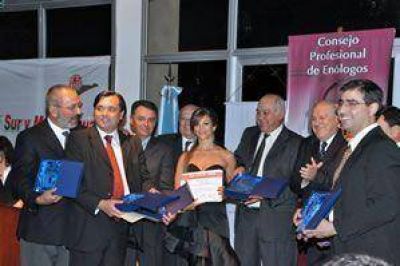 Se viene la Cata de vinos de San Juan