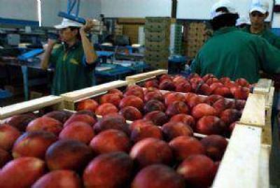 Mendoza volver�a a exportar fruta a los Estados Unidos