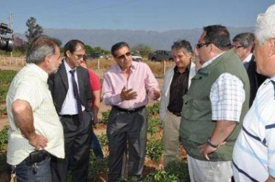 EL GOBERNADOR VISIT� UNA INSTALACI�N TOMATERA DE SAPEM