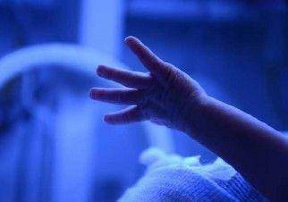 La pelea por vivir 