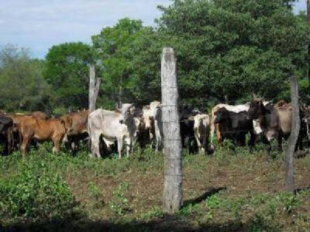 Z�rate catalog� de falaz a la postura del ministro Quintana 