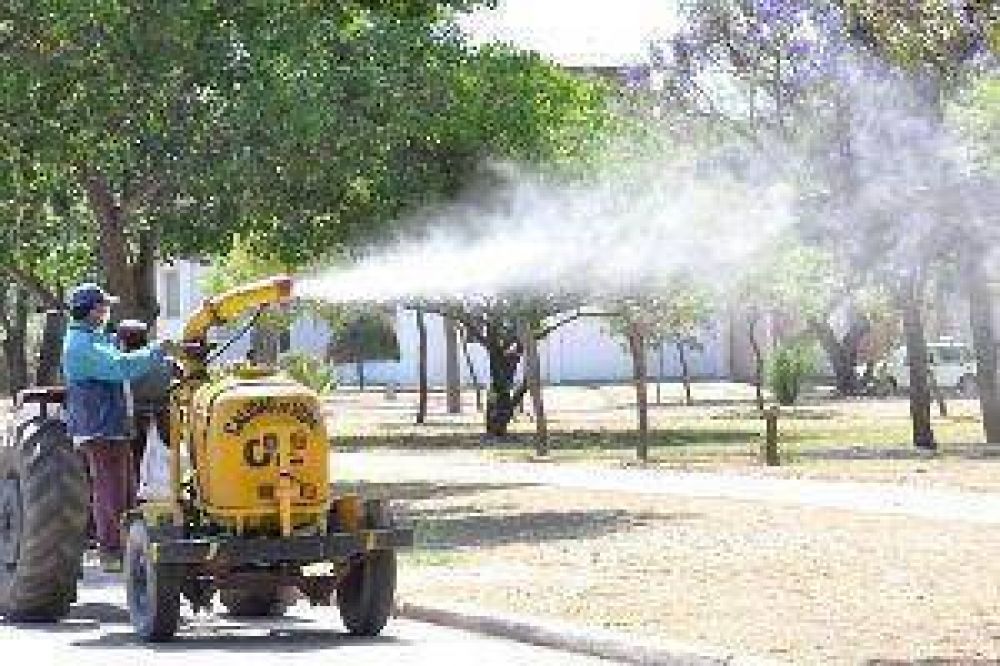 La invasi�n de mosquitos causa preocupaci�n en la poblaci�n