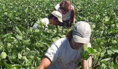Retenciones: el agro va por la segmentaci�n y la baja