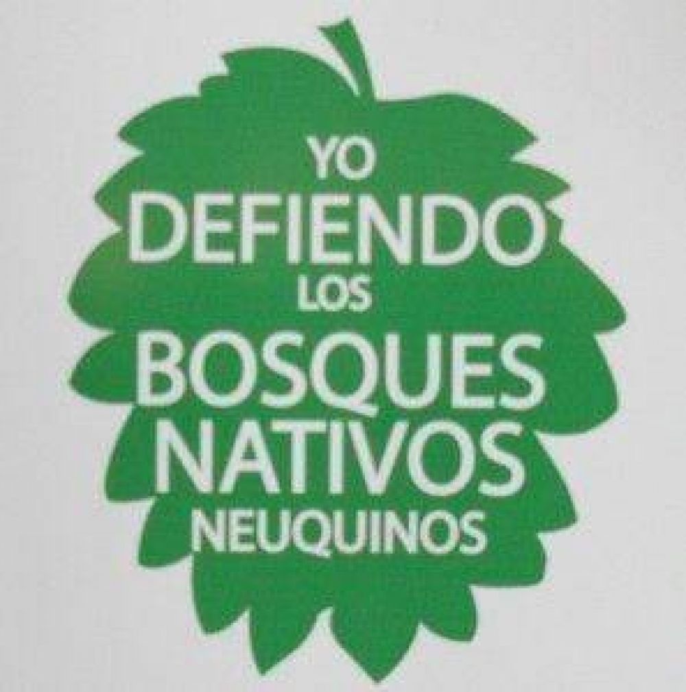 Nueva campa�a en defensa del Bosque