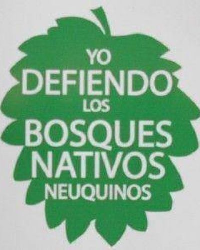 Nueva campa�a en defensa del Bosque