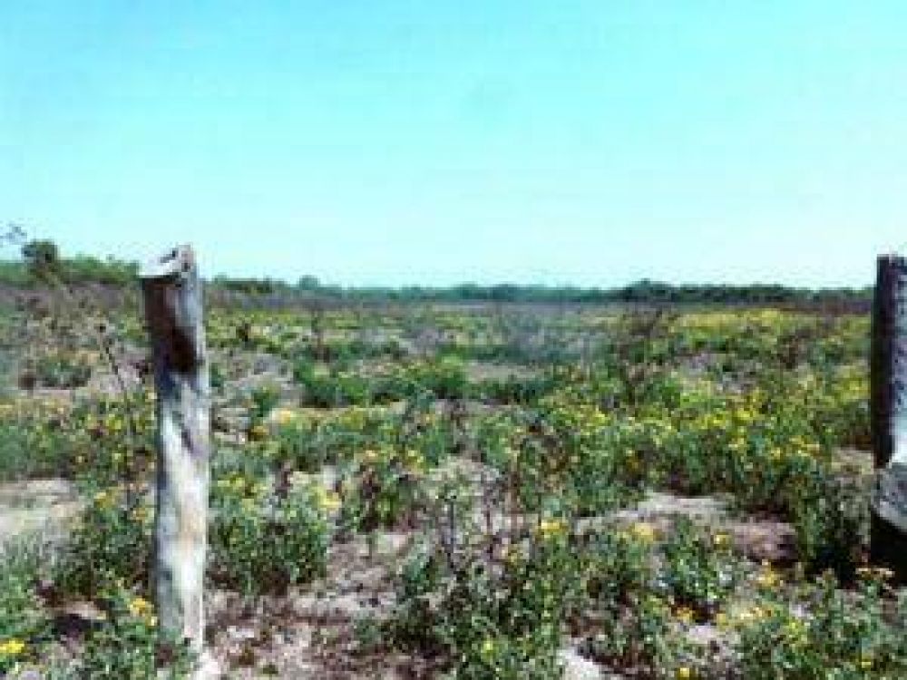Se agudiza la situaci�n en Pampa del Indio por la falta de agua potable y de lluvias  