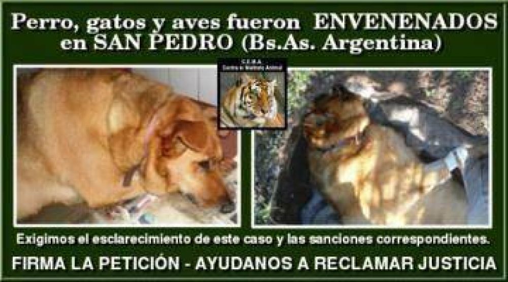 El 5 marchan contra el maltrato animal