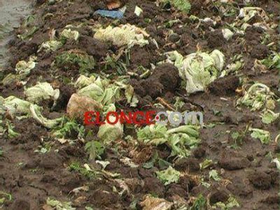 La ca�da de granizo destroz� el 90% de la producci�n hort�cola en Paran�