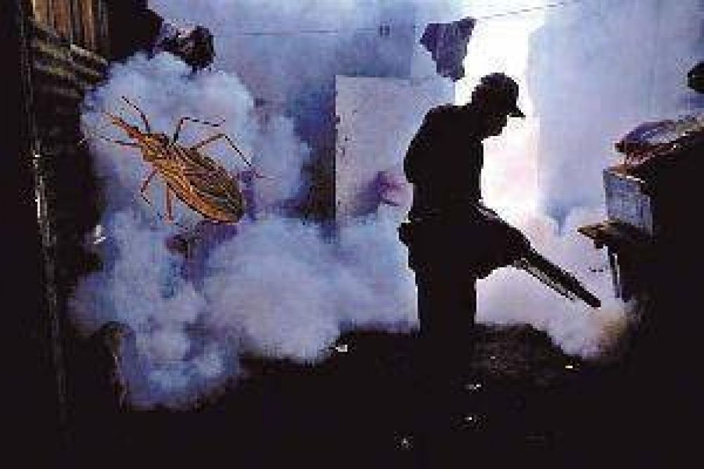 Destacan importantes avances en la lucha contra el Chagas