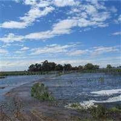 La lluvia agrav� la situaci�n de los campos anegados