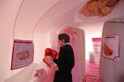 El c�ncer de mama podr�a detectarse con un simple an�lisis de sangre
