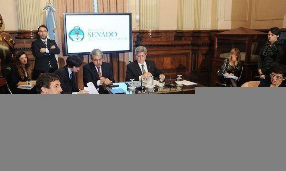 Dictamen favorable en el Senado para el voto joven