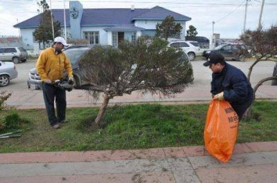 El municipio prosigue con los trabajos de embellecimiento de espacios p�blicos
