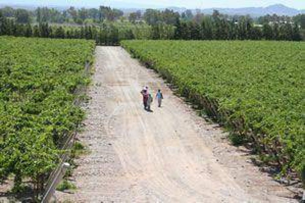 Comenz� el pago por el operativo del mosto 2012