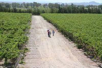 Comenz� el pago por el operativo del mosto 2012