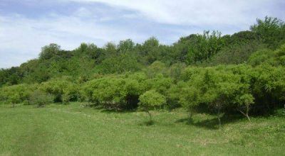 La Reserva Parque del Este a pleno.