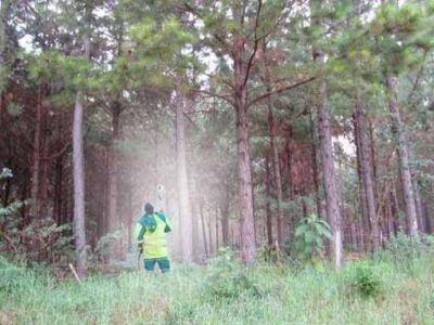 Alto Paran� aplic� m�s de un mill�n de kilos de glifosato en diez a�os