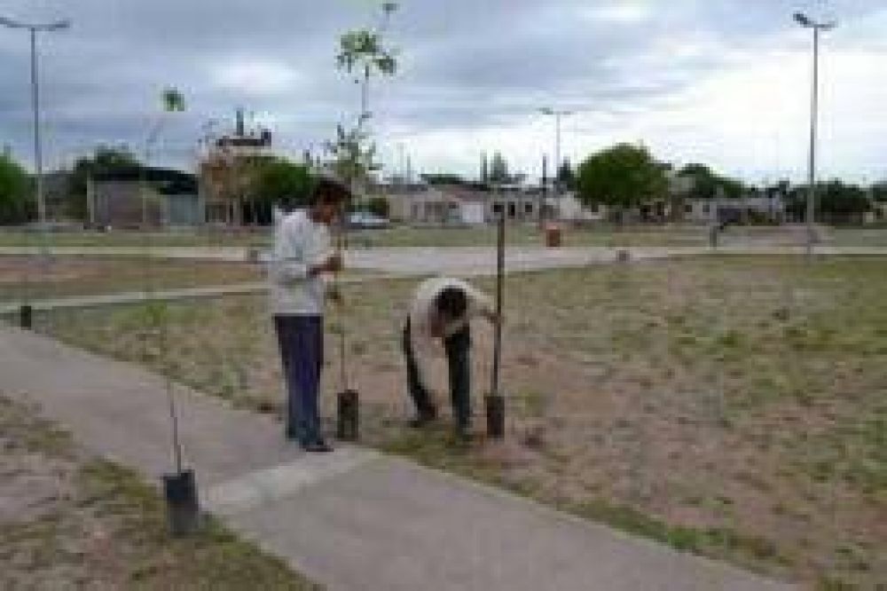 El municipio sali� a reforestar todas las plazas de la ciudad