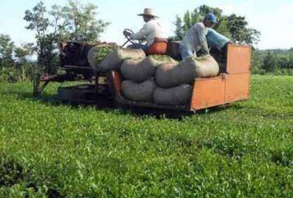 Con el aporte del gobierno, se lograr�a 0,55 como piso para el precio del t�