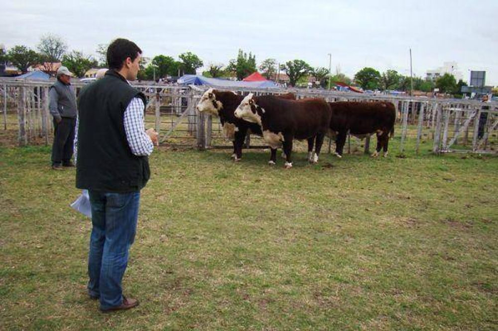 Se desarrolla la 86� Exposici�n Rural