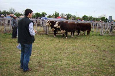 Se desarrolla la 86� Exposici�n Rural