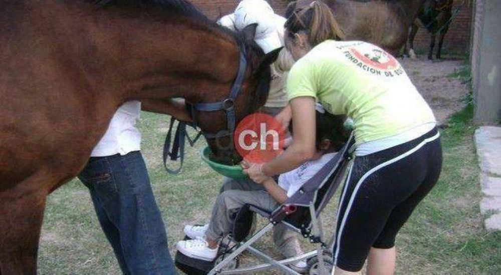  Equinos: una terapia diferente
