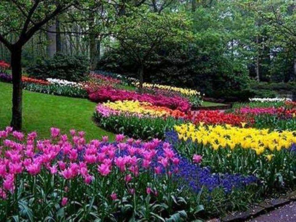 Exposici�n de arte floral