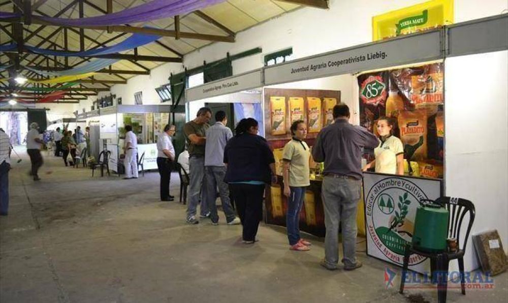 Planificaci�n de negocios, un �rea que el sector cooperativo a�n debe fortalecer