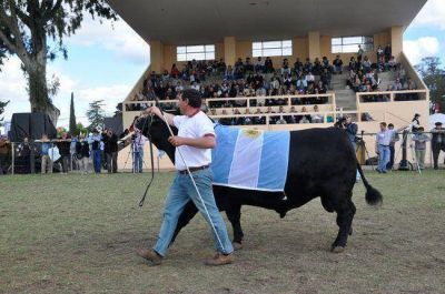 Rural: apertura peg�ndole a Naci�n