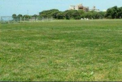 Reuni�n de vecinos de Parque Luro: ser� el domingo a las 12hs