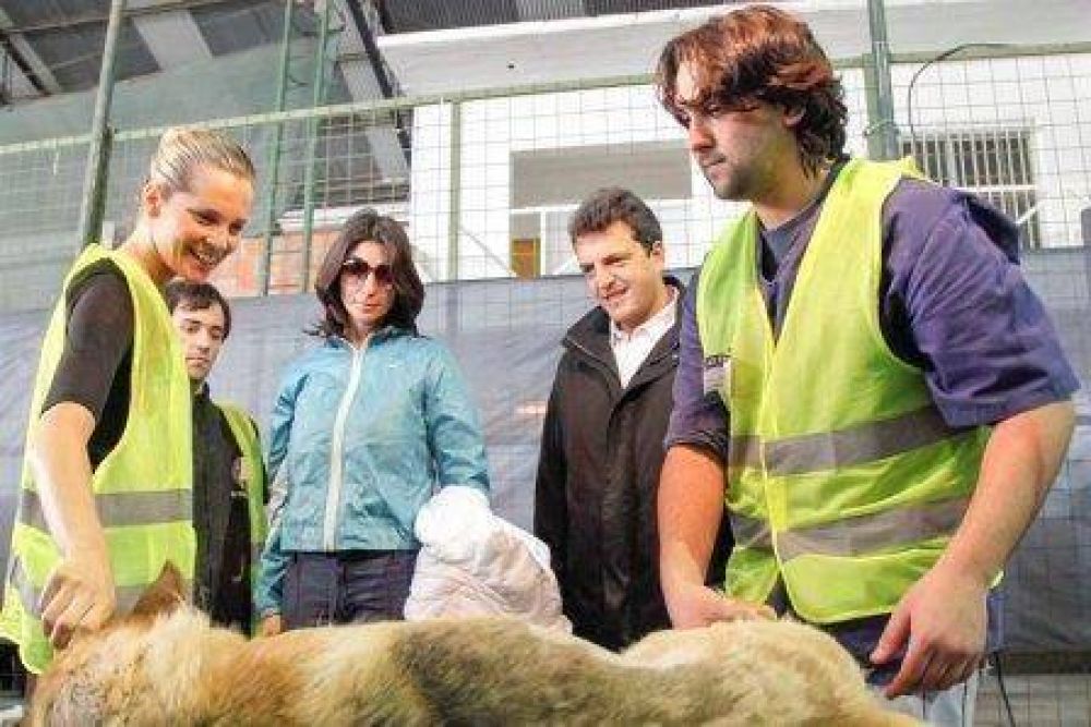 Massa junto a Liz Solari y famosos, por la salud de las mascotas en Benavidez