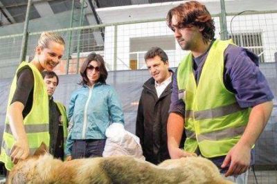 Massa junto a Liz Solari y famosos, por la salud de las mascotas en Benavidez