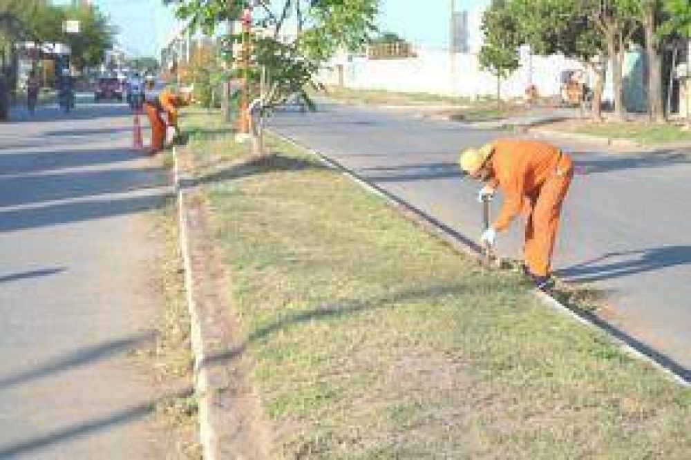 Canteros centrales en avenidas de la zona sur de Resistencia fueron restaurados