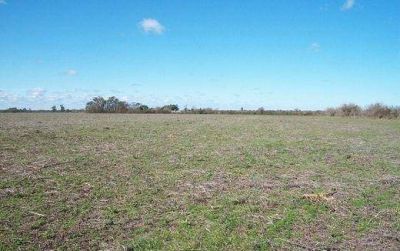 Por incumplimiento de Provincia, costar� m�s caro el Parque Industrial Regional